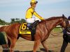 haskell-day-july-29-2018-monmouth-park