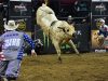 pbr-professional-bull-riding-jan-4-6-2019